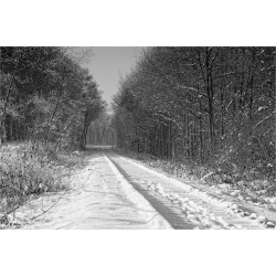 Schnee von gestern